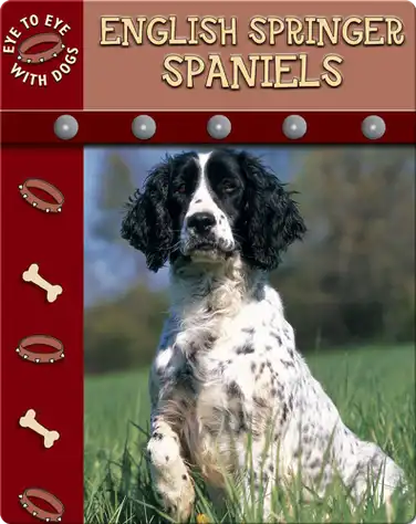 Eye To Eye With Dogs: English Springer Spaniels book