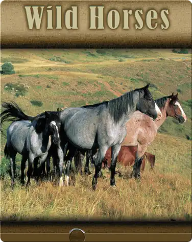 Wild Horses book