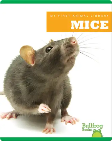 My First Animal Library: Mice book