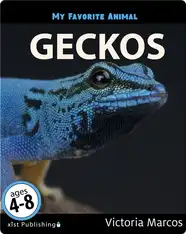 My Favorite Animal: Geckos