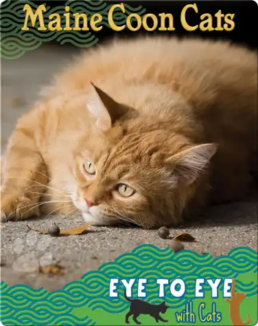 Eye To Eye With Cats: Maine Coon Cats book