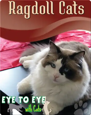 Eye To Eye With Cats: Ragdoll Cats book