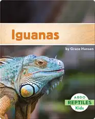 Iguanas