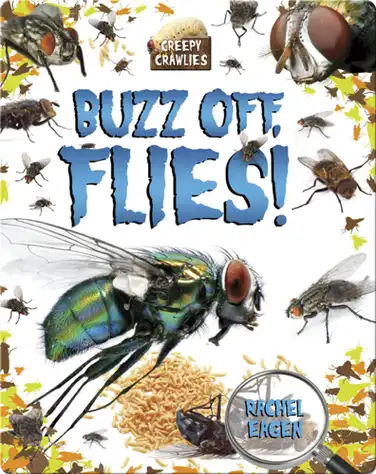 Buzz Off, Flies! book