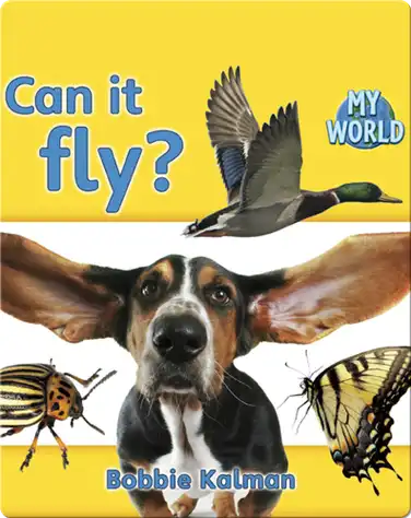 Can It Fly? book
