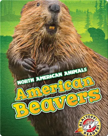 North American Animals: American Beavers book