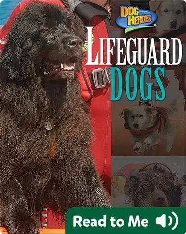 Lifeguard Dogs book