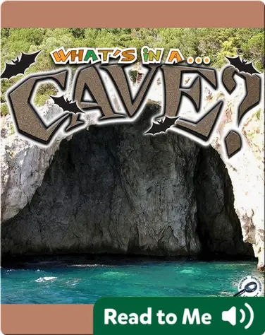 What's In A... Cave? book