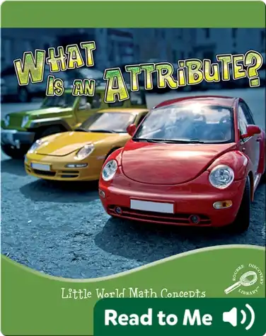 What is an Attribute? book