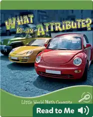 What is an Attribute?