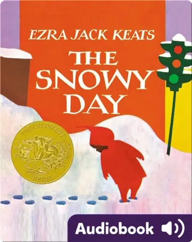 The Snowy Day book