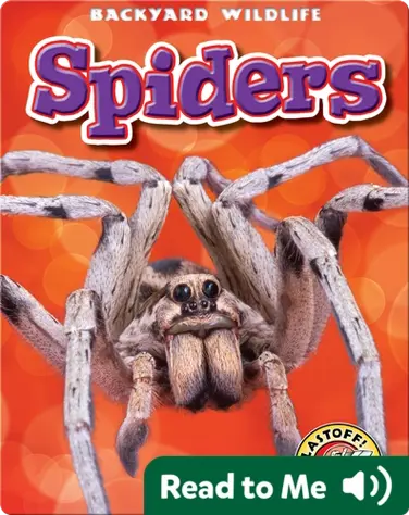 Spiders: Backyard Wildlife book