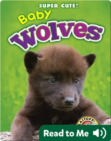 Super Cute! Baby Wolves book