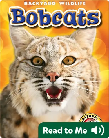 Backyard Wildlife: Bobcats book