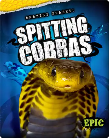 Amazing Snakes! Spitting Cobras book