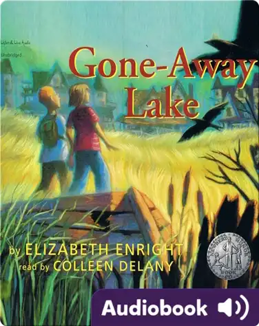 Gone-Away Lake book