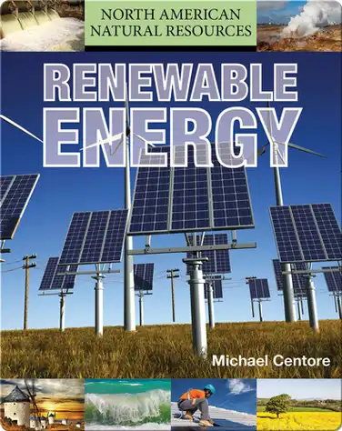 Renewable Energy book