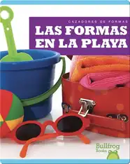 Las formas en la playa