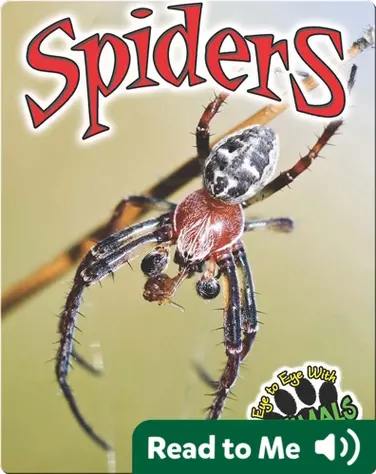 Eye to Eye With Animals: Spiders book
