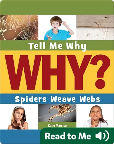 Spiders Weave Webs book