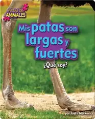 Mis patas son largas y fuertes (legs)