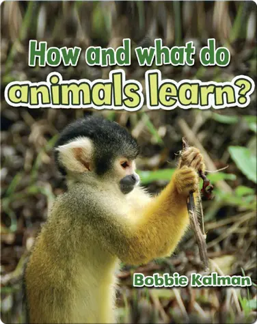 How and what do animals learn? book