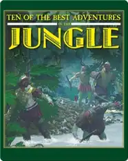 Ten of the Best Adventures in the Jungle