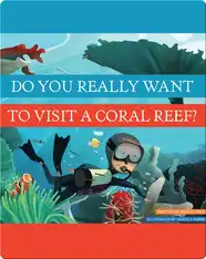 Do You Really Want To Visit A Coral Reef?