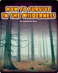 How to Survive In The Wilderness