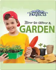 How to Grow a Garden