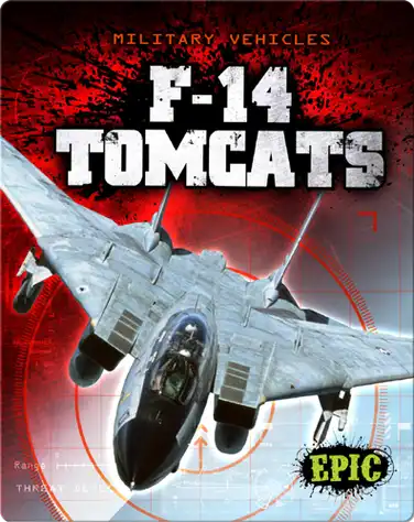 F-14 Tomcats book