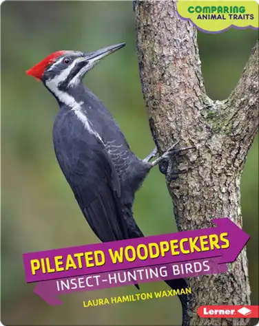 Pileated Woodpeckers: Insect-Hunting Birds book