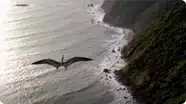 The Long Migration - Walking With Dinosaurs