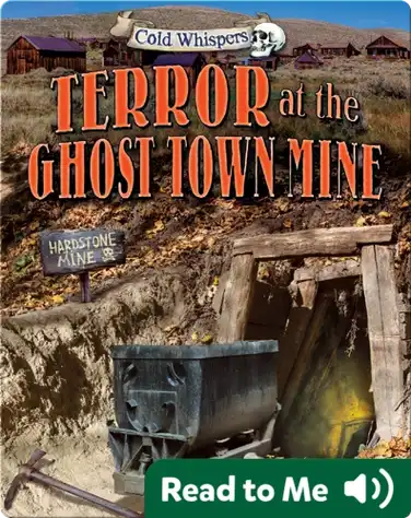 Terror at the Ghost Town Mine book