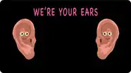 The Human Body for Kids / Ear Song