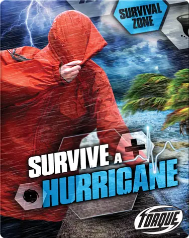 Survive A Hurricane book