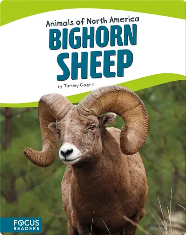 Bighorn Sheep book