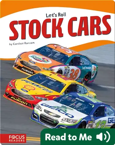 Stock Cars book