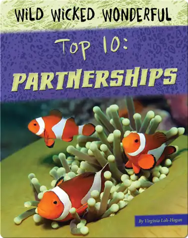 Top 10: Partnerships book