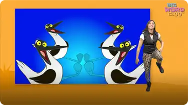 Blue Footed Booby Dance book