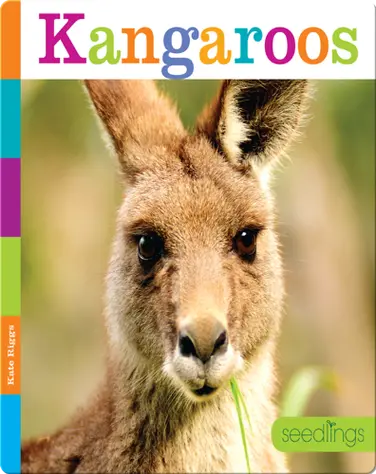 Kangaroos book