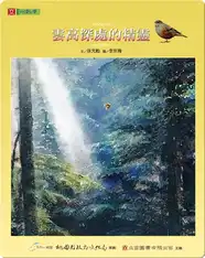 雲高深處的精靈: Fairies in the Cloud-High Mountains