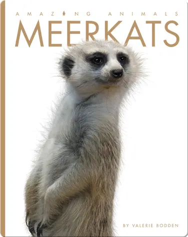 Meerkats book