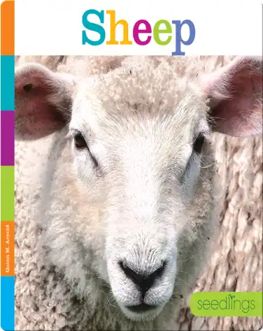 Sheep book
