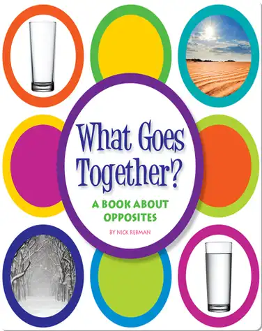 What Goes Together?: A Book about Opposites book