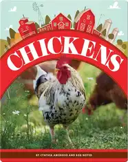 Chickens