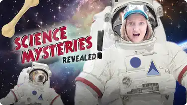 The Shocking Truth About Dogs | SCIENCE MYSTERIES REVEALED book