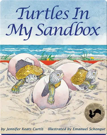 Turtles In my Sandbox book