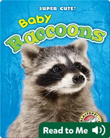 Super Cute! Baby Raccoons book