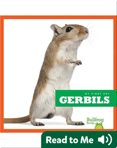 My First Pet: Gerbils book